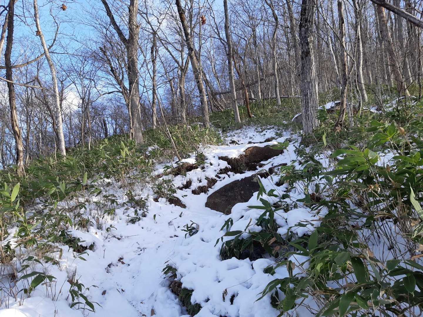 高度を上げて日の当たる道へ
すっかり雪道です