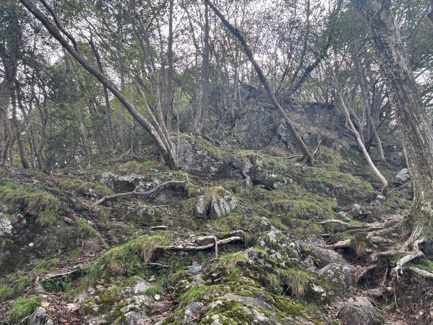 が、途中から岩岩🪨のルートへ😊