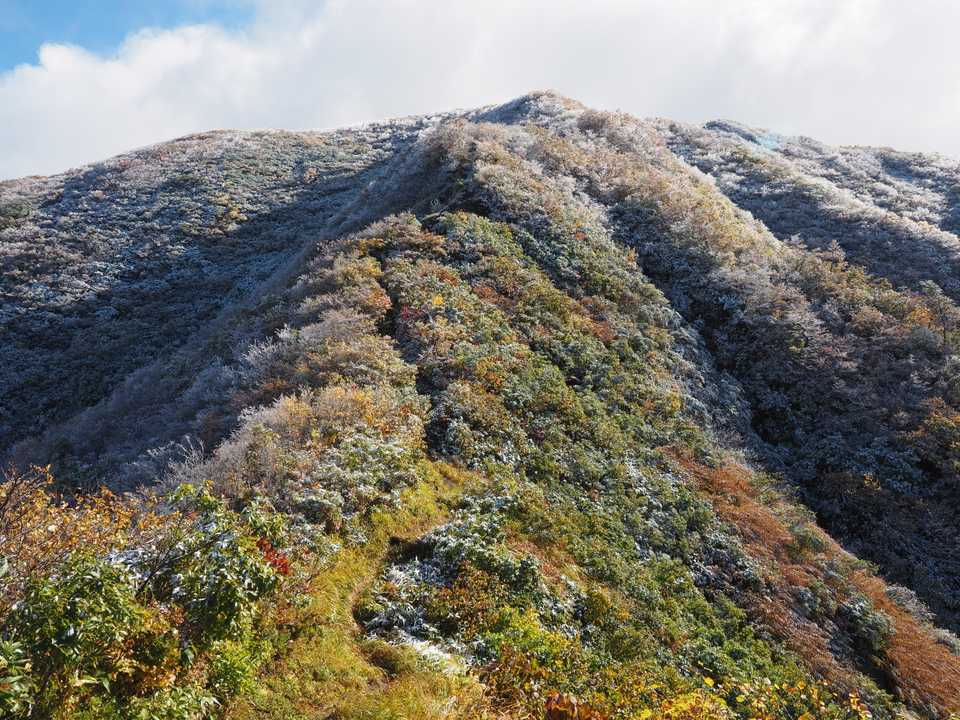 山頂までラストスパート❗
⛄と🍁