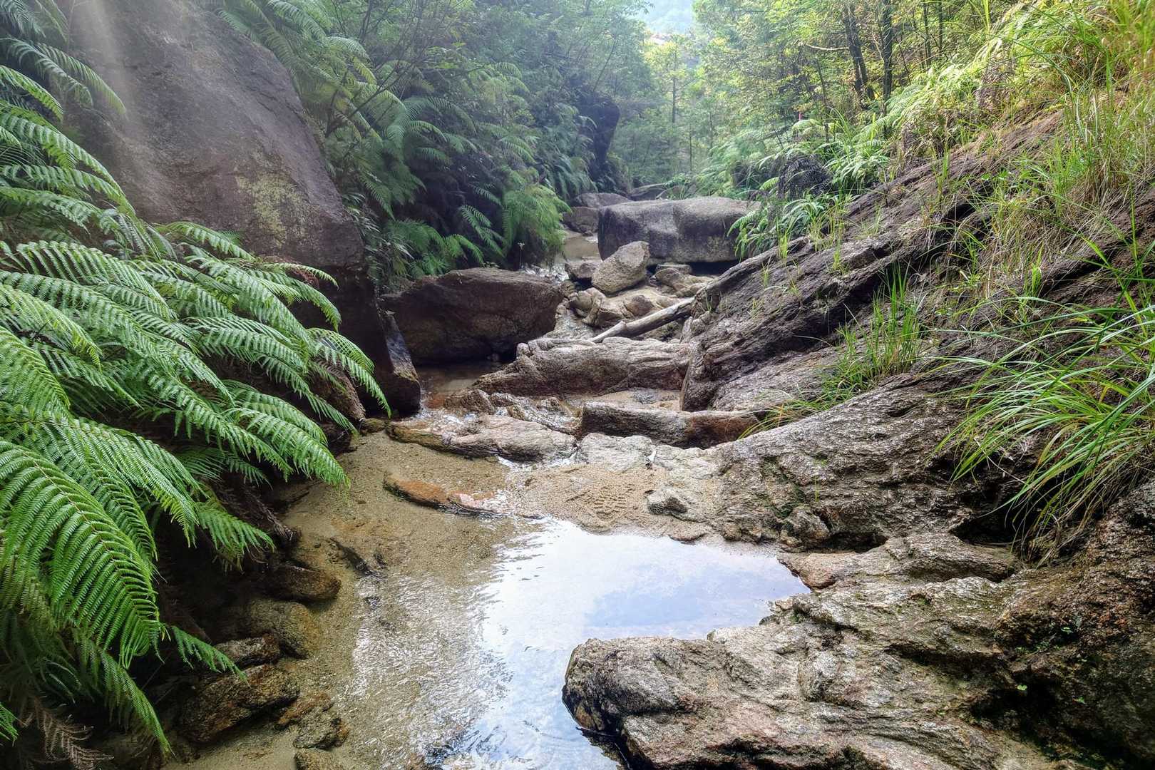アルプス登山口バス停-堂山 周回コースの写真