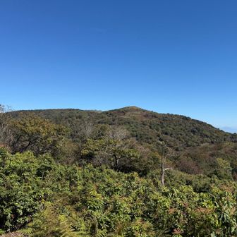 蓬莱山⛰️ 雲一つない😆