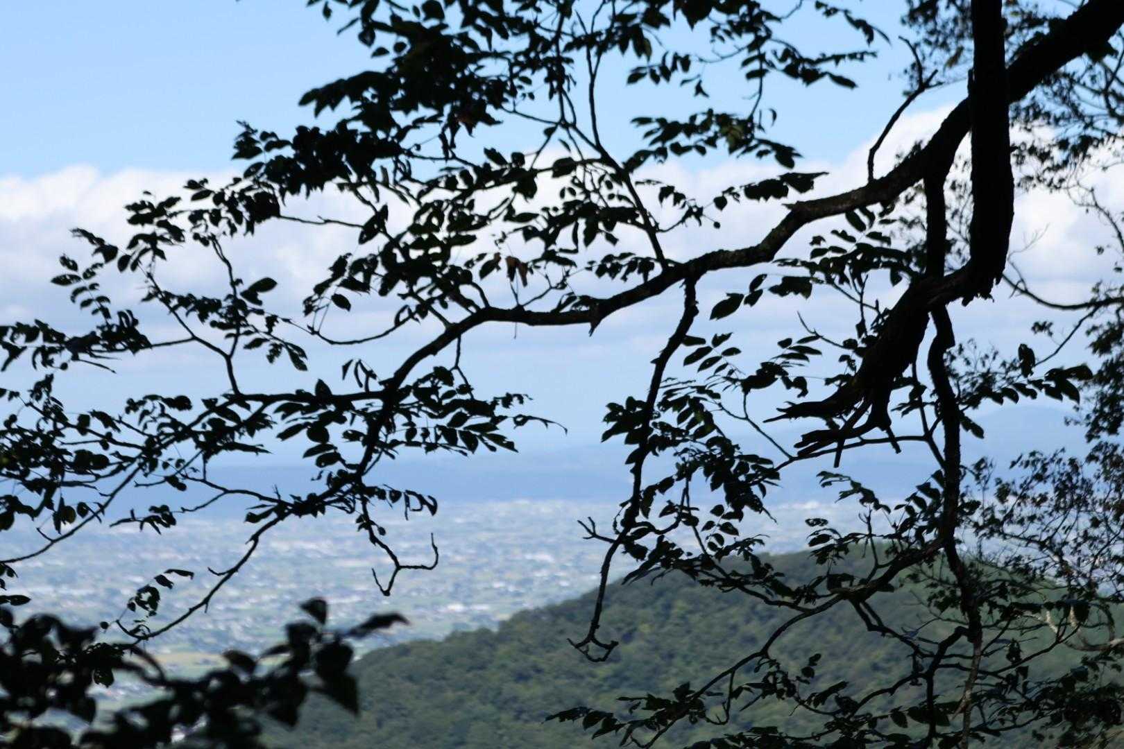 牛岳 周回コースの写真