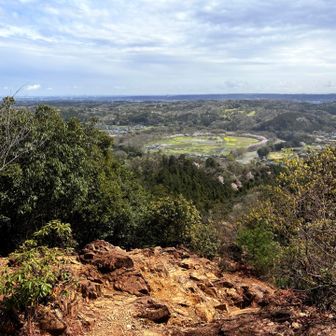 登っちゃったよ😭