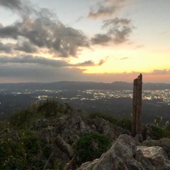 ようやっと白やみだし👍