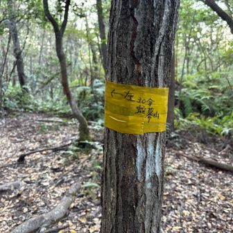 蛇幕山まで30分
時間が書いてあると挑戦したくなる