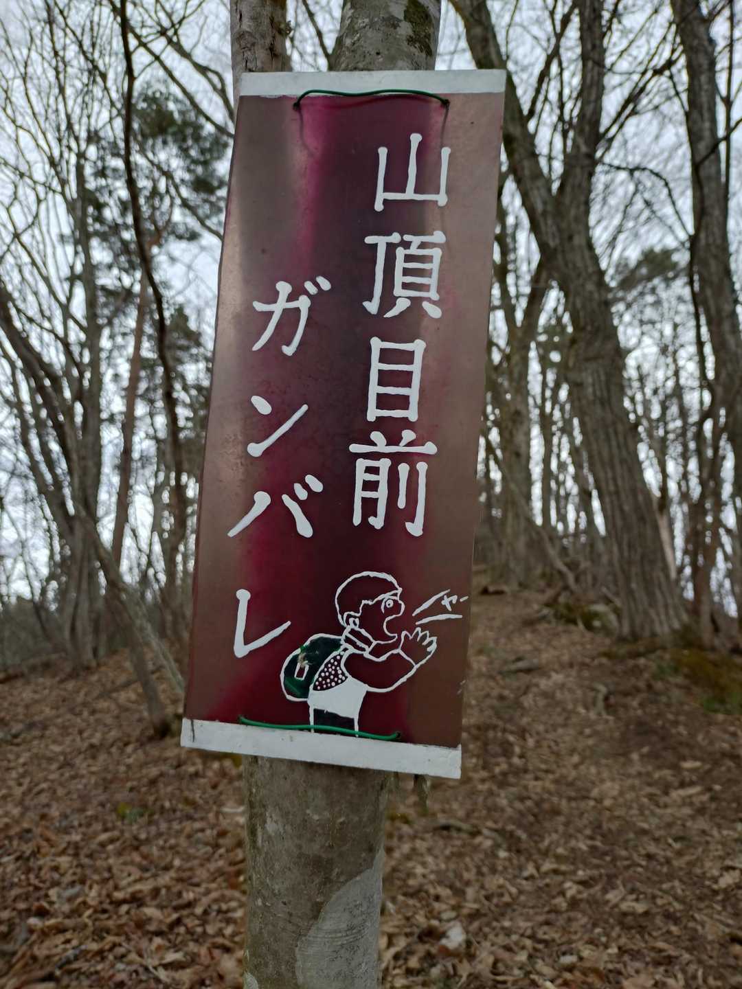 奇妙山への途中にある味わい深い案内板。毎回撮ってしまう。がんばるよ。