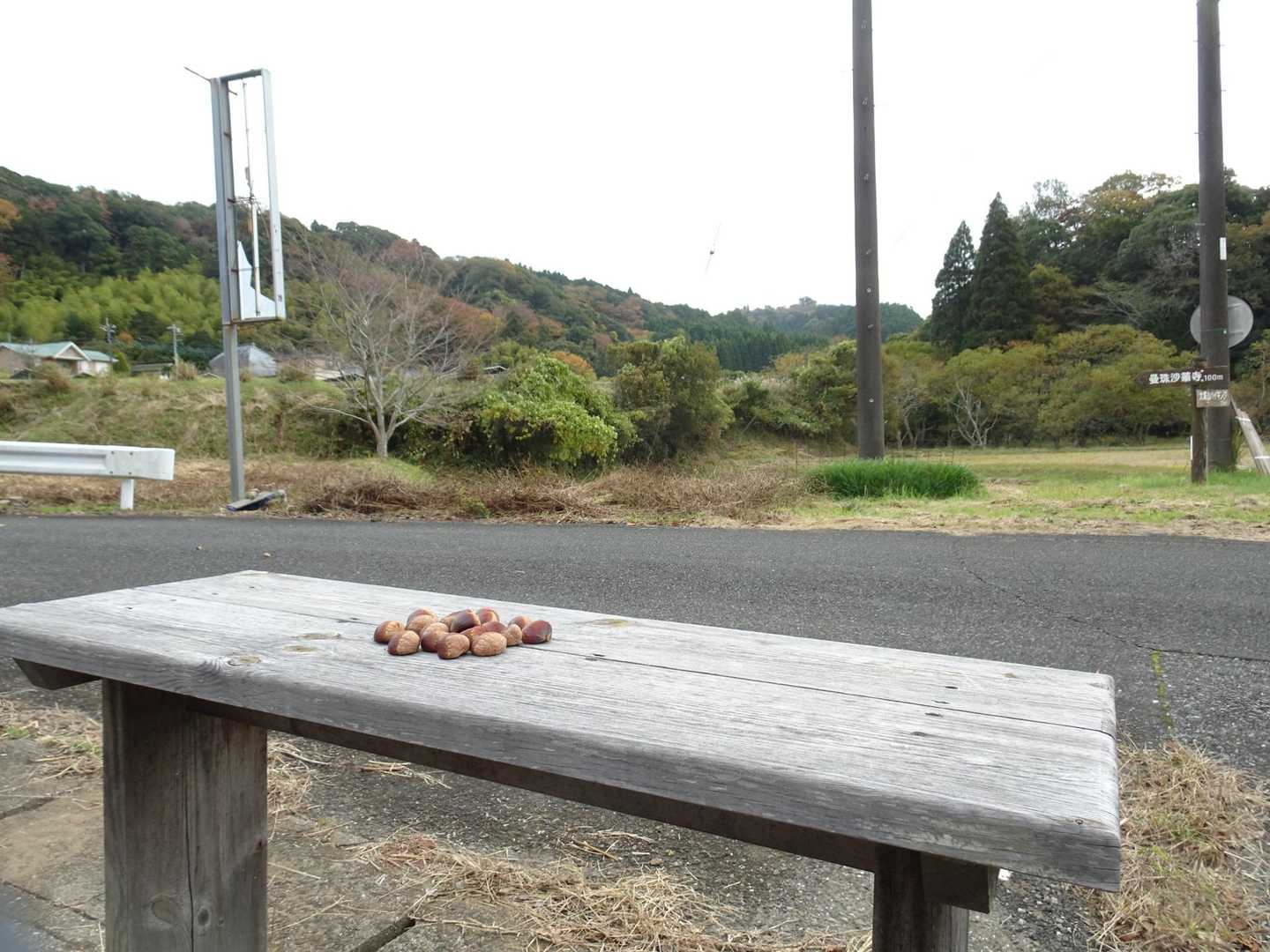 大塚山 往復コースの写真