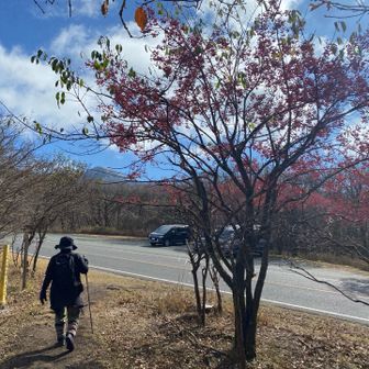 はい下山、友達の阿蘇デジタルバッチコンプリートのためにヒゴタイ公園へ行きまーす