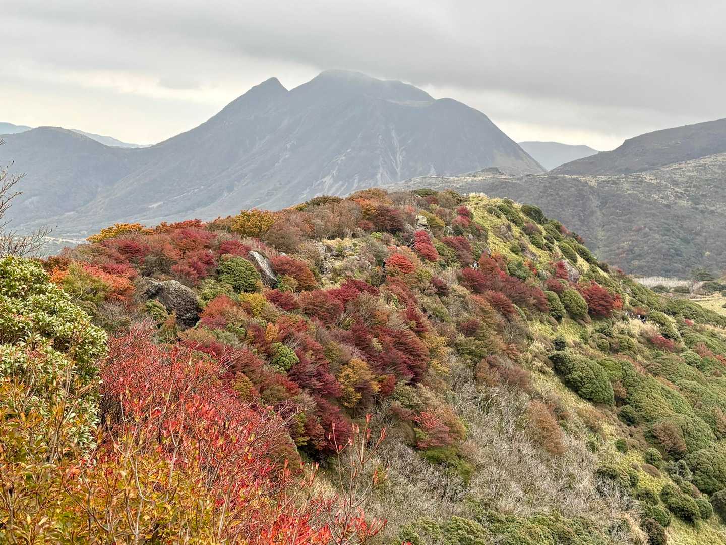 沓掛山往復 | 九州で最も歩かれているピークを目指すショートハイクの写真