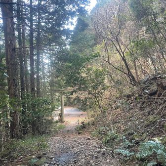 登山口が見えてホッ…😮‍💨
このまま降った先の町にある整形外科に直行するつもりでしたが、大げさな処置されて運転ができなくなると困るので、とりあえず家に向かいました。

Dレンジでブレーキ踏みまくりでゆるゆる下り、3回曲がれば家につけます✌️オートマ車万歳🙌