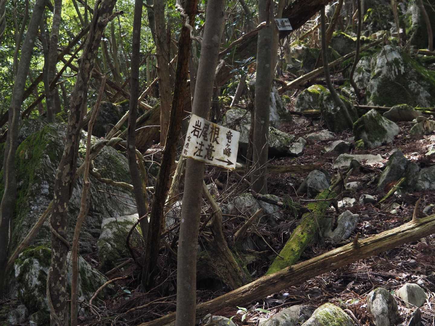 注意⚠️