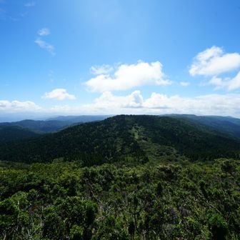 山頂到着