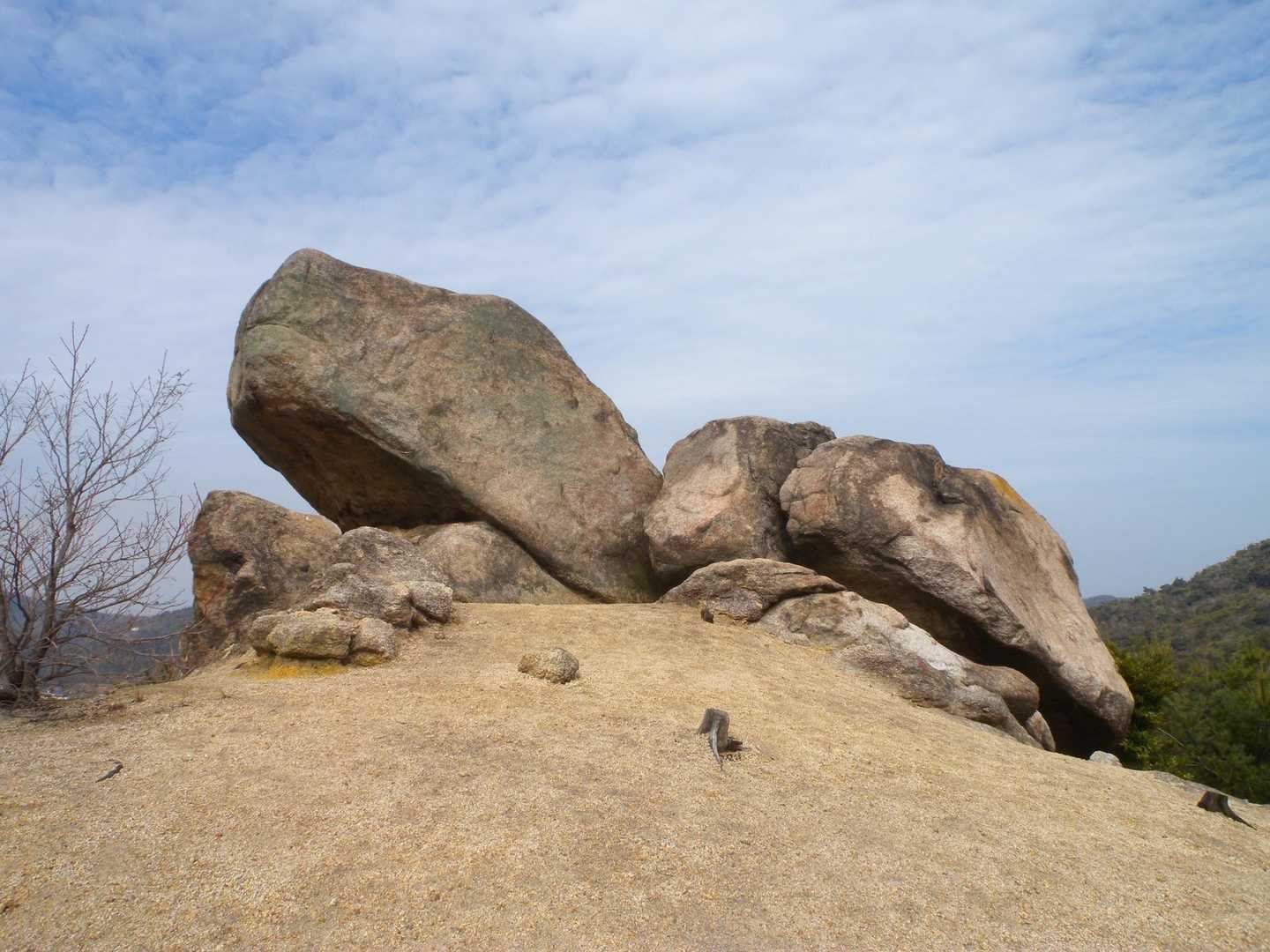 世田薬師バス停-世田薬師登山口-世田山-笠松山-野々瀬下登 往復コースの写真