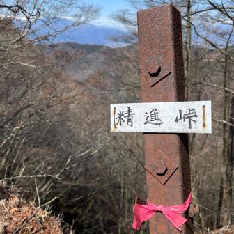 リボン🎀結びのピンテが可愛い🩷