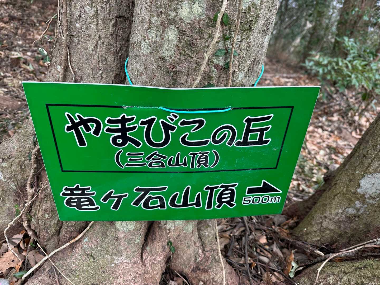 あっという間に山頂