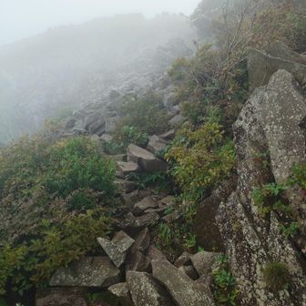 最後の岩場。アルプスの練習みたい。