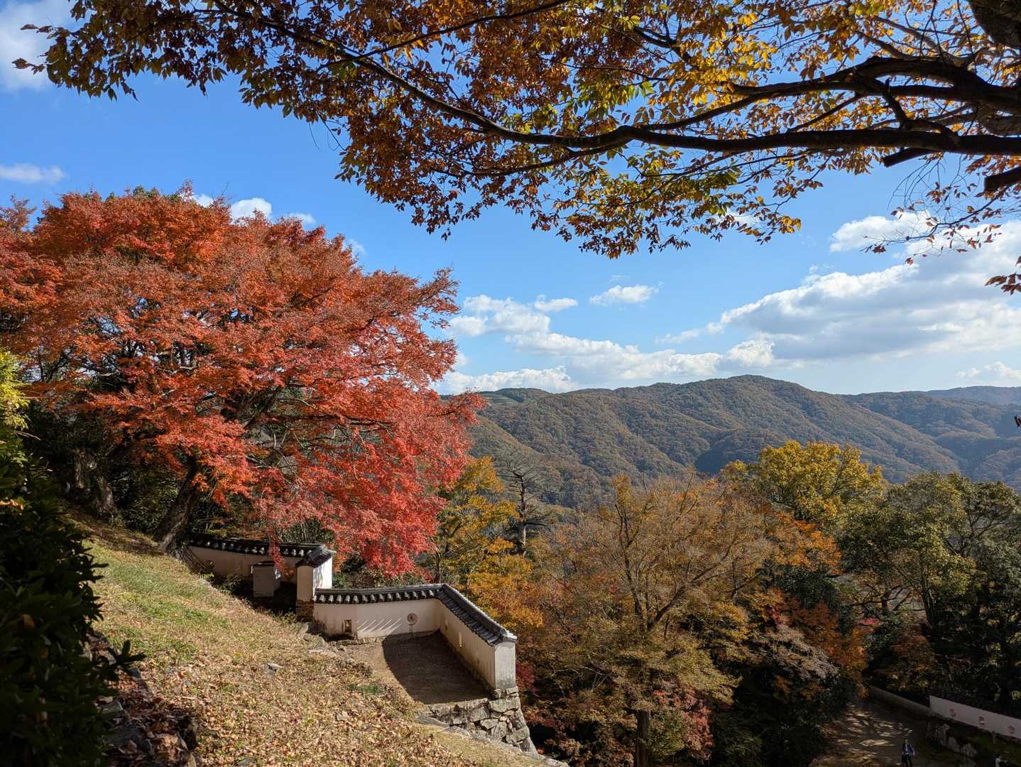 臥牛山 往復コースの写真