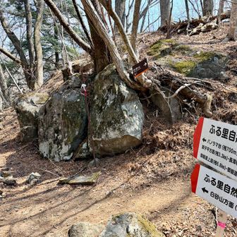 白砂山への分岐を右へ。
