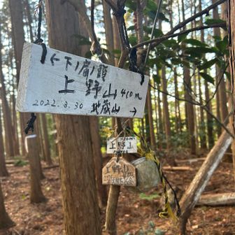 直下の倒木を越えて、上野山に到着です😊