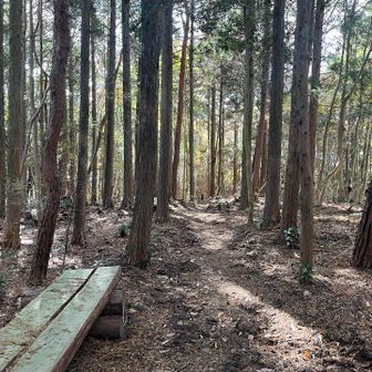 西帝釈山は標識無し
ベンチのみ