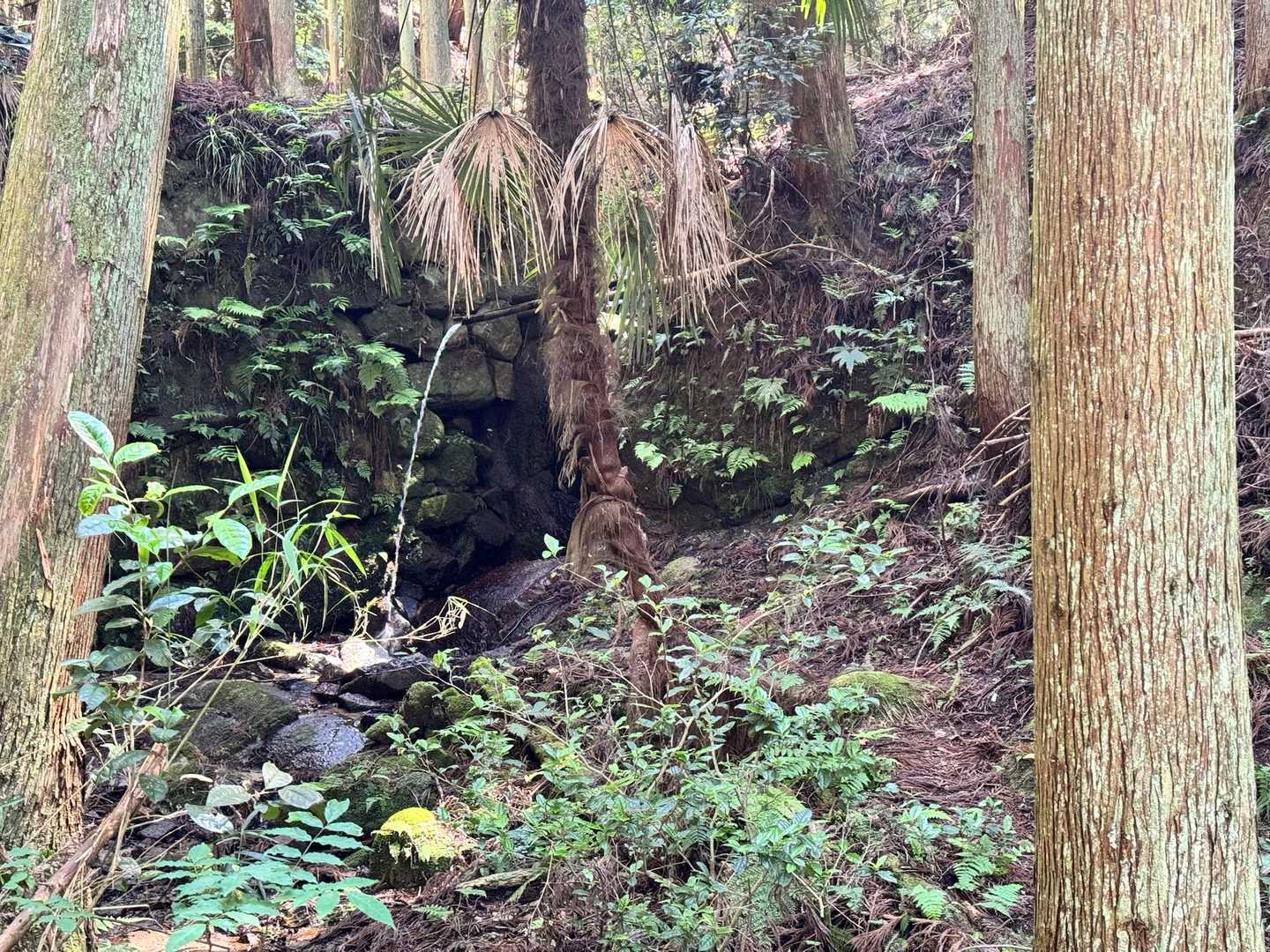 水場