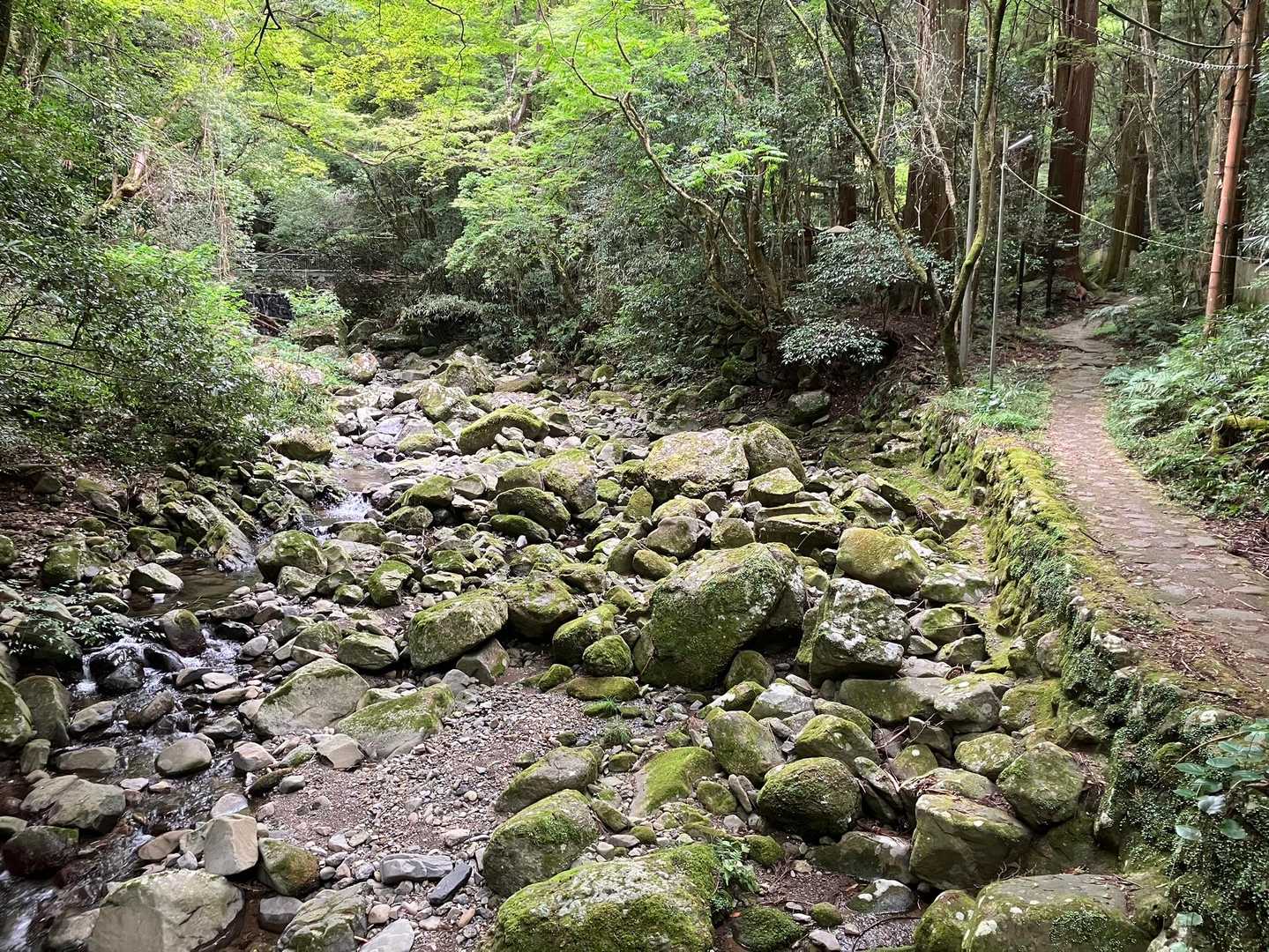 七宝龍寺本堂-経塚権現山登り口-燈明ヶ岳 往復コースの写真