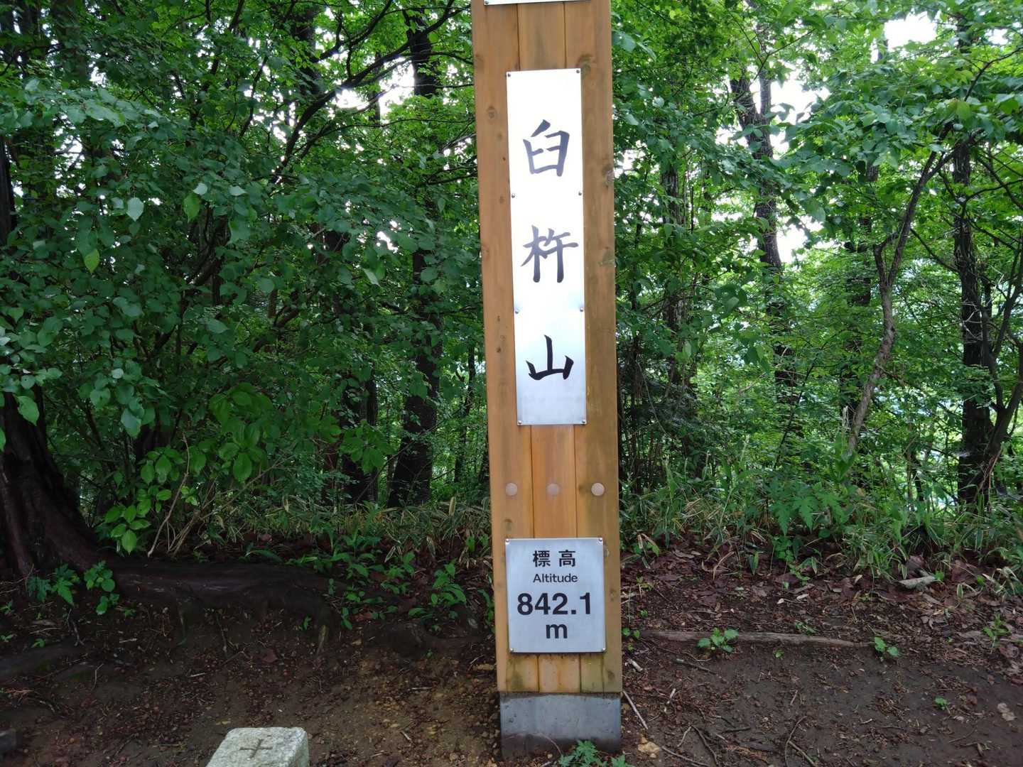 臼杵山-荷田子峠-荷田子バス停 縦走コースの写真