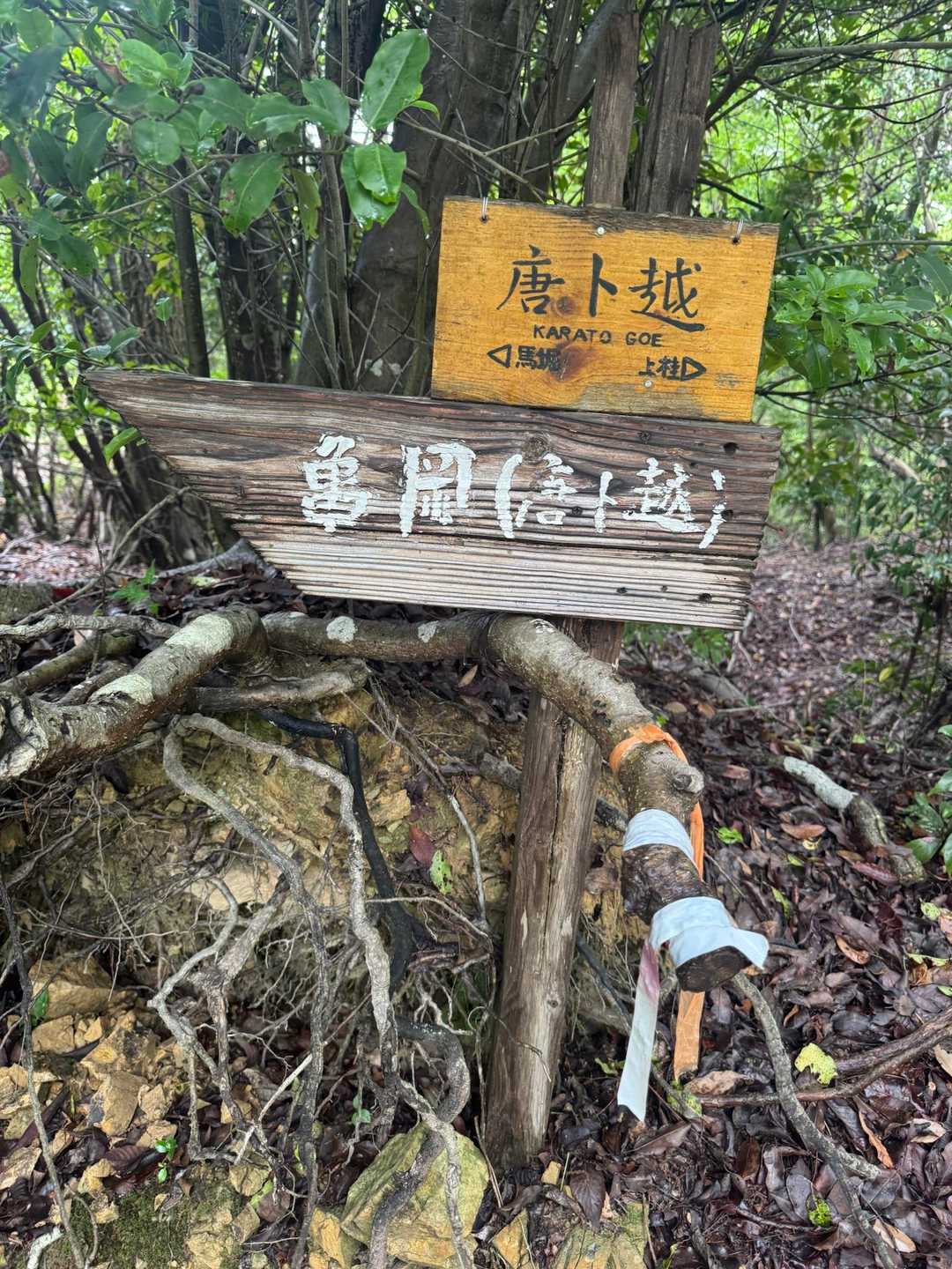 馬堀駅-みすぎ山-唐櫃越-沓掛山-上桂駅 縦走コースの写真