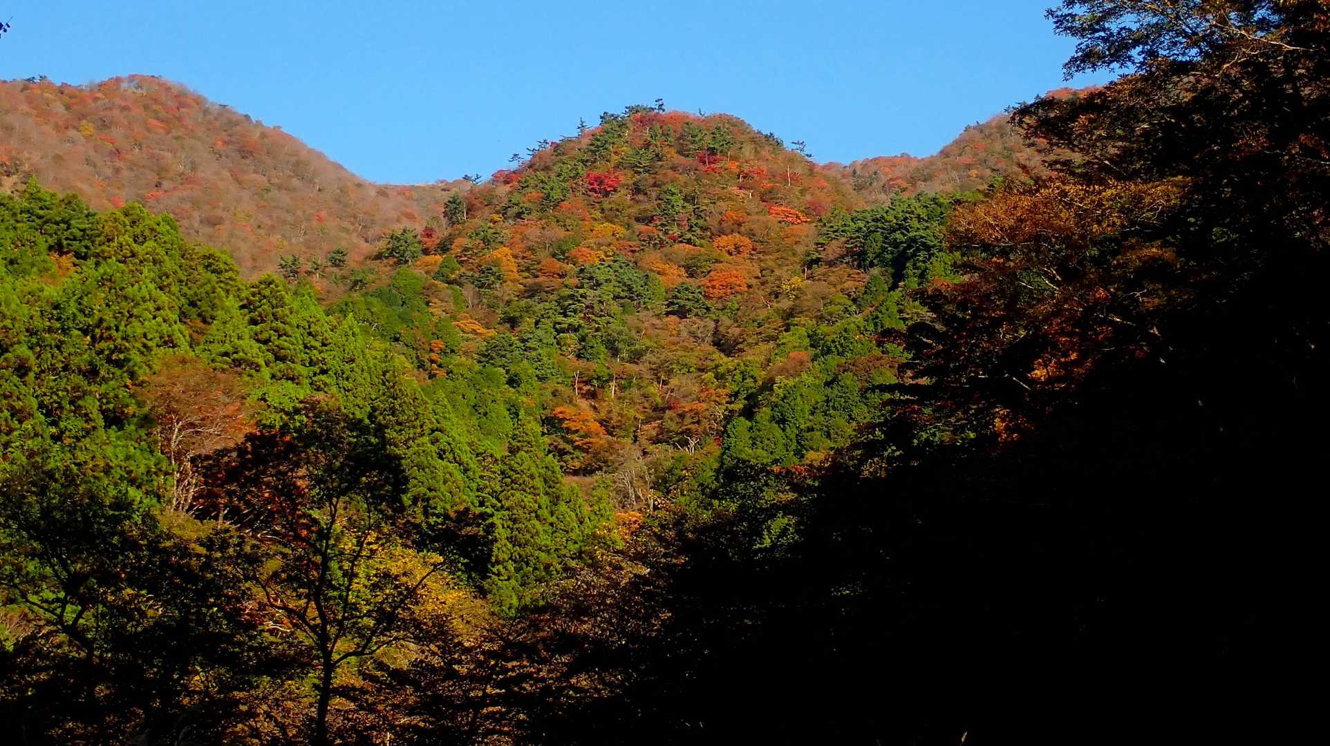 今は標高1000m以上で紅葉がキレイ。