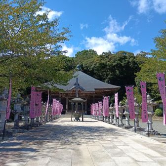 長谷寺