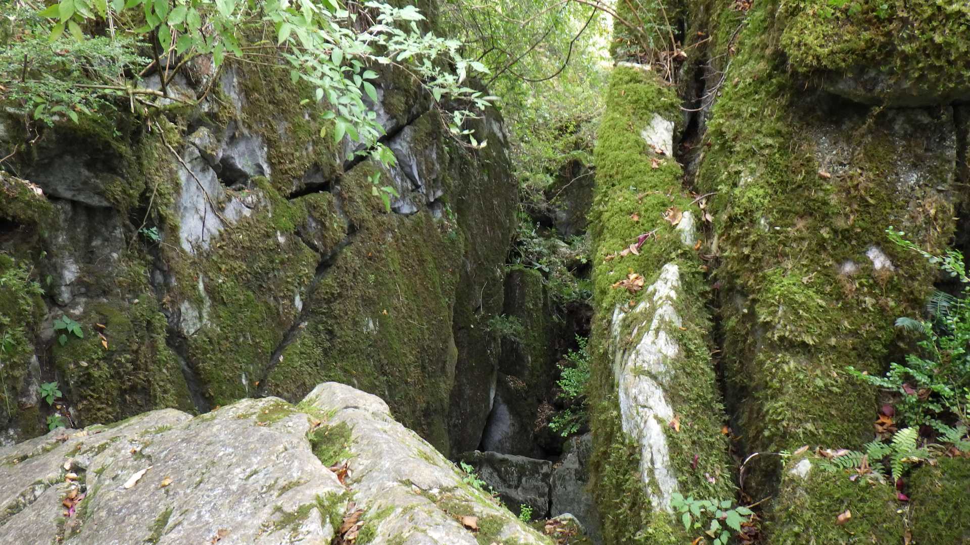 屏山-古処山 周回コースの写真