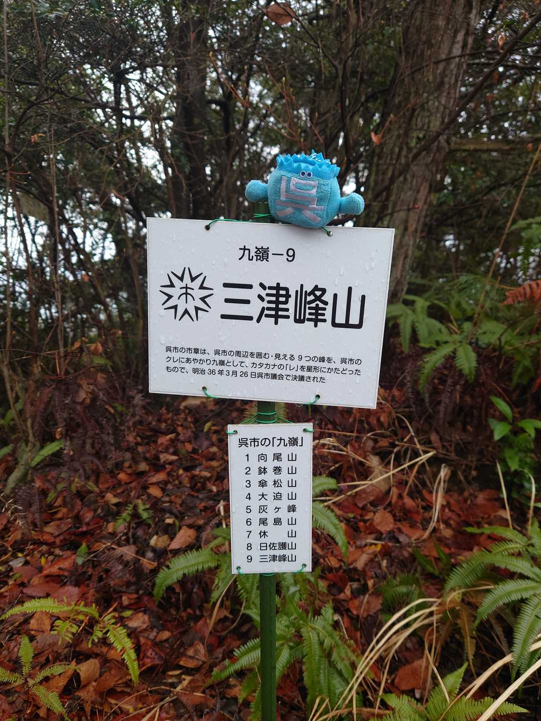 ⑨三津峰山