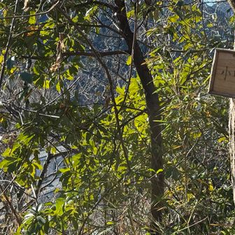 新しいプレート