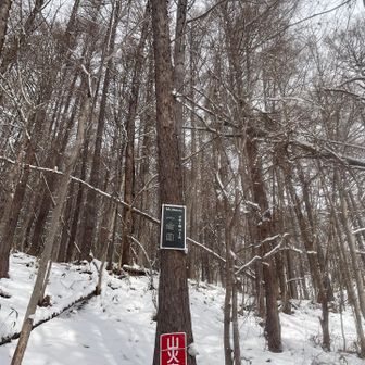 実は初めましての一合目😊