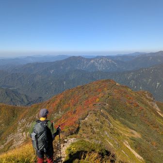 下山時の方が光の当たり具合の関係で紅葉の赤色がくっきり見えました。
