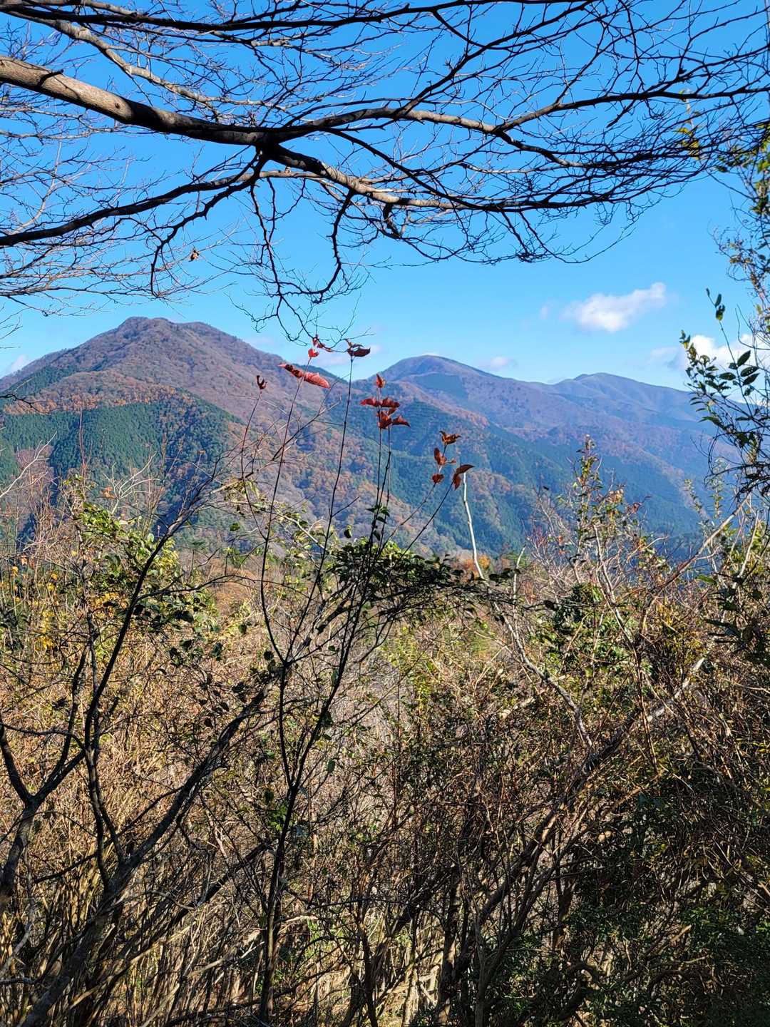 那岐山三座。左から広戸仙～滝山～那岐山。
