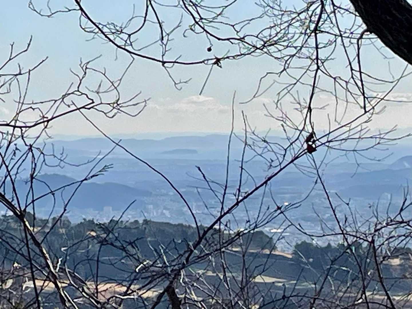 あらー(#'ω')江ノ島見えるよー