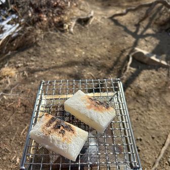 お正月なのでお餅焼いて