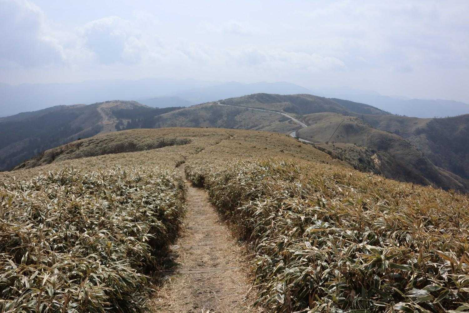 金冠山〜小達磨山〜達磨山〜古稀山〜伽藍山　往復コースの写真