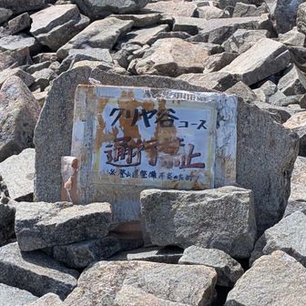 草刈りしてないとの事