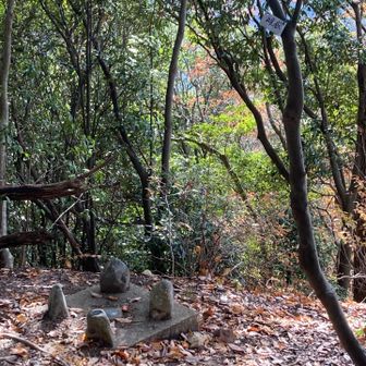 信貴山雌岳山頂⛰️三角点とプレートは頂上より先の下った所にあった