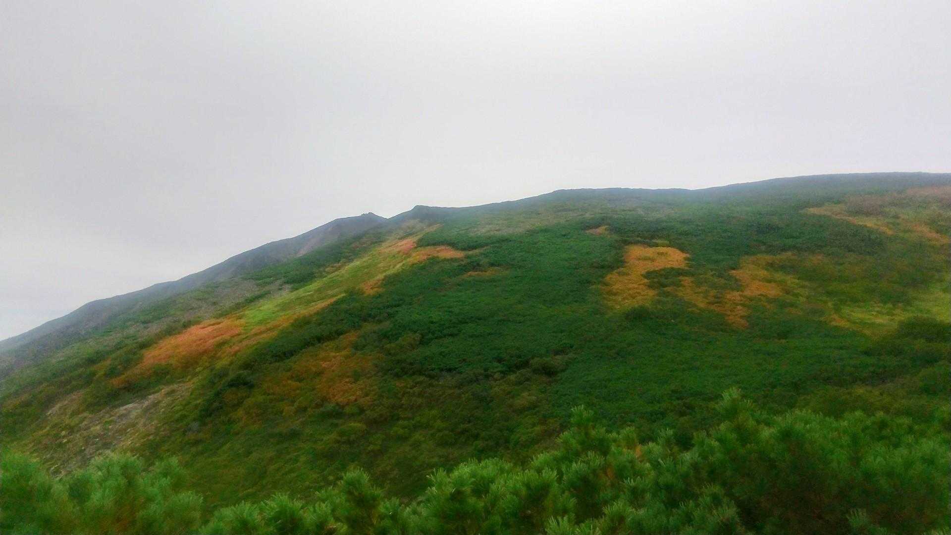 赤岳登山口-第一花園-赤岳-北海岳-黒岳-七合目リフト駅 縦走コースの写真