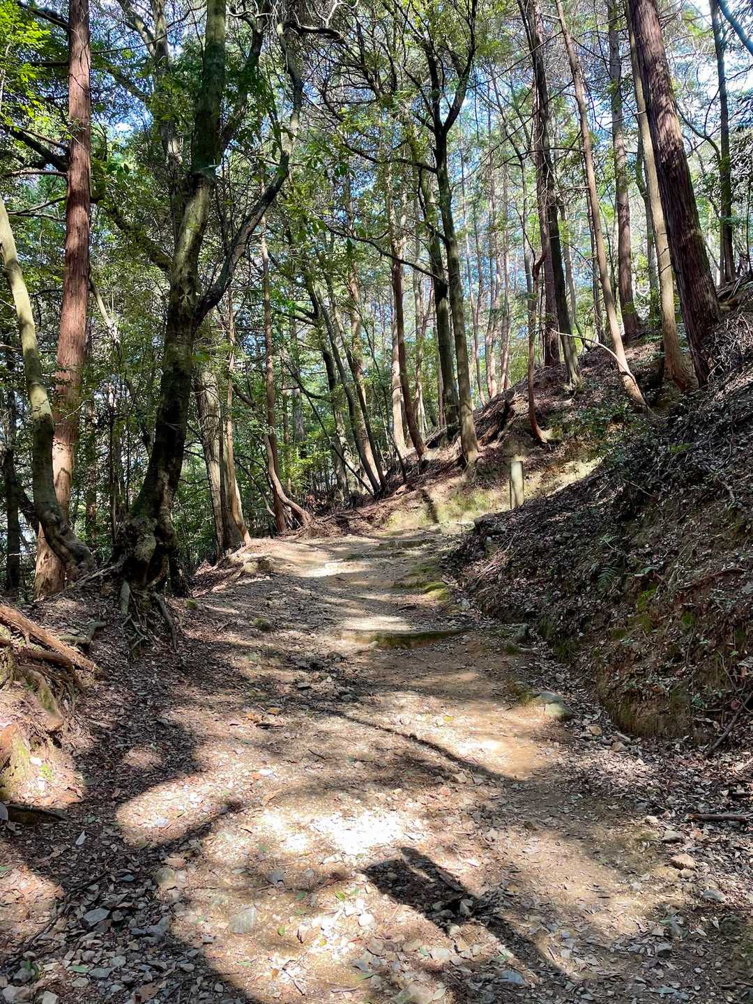 🍃✨上醍醐登山道①✨🍃