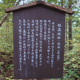 どのゲームでも武勇95前後の山県昌景さん、さすがです。