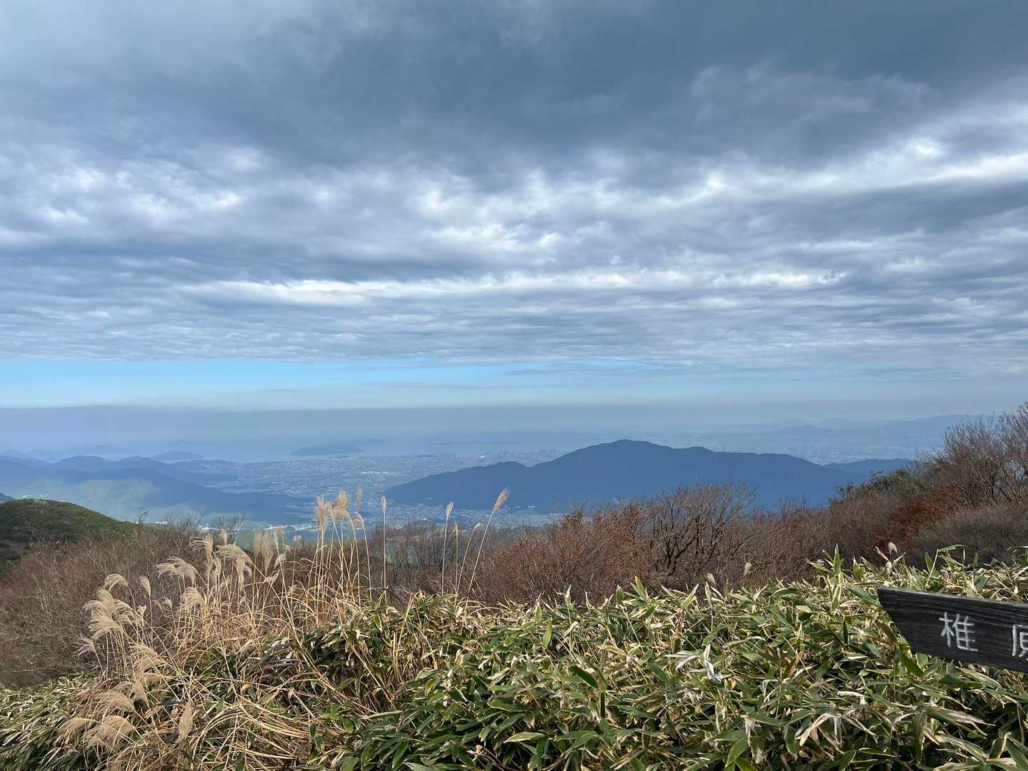 脊振山山頂はスルー

今日の目的はメタセコイア
