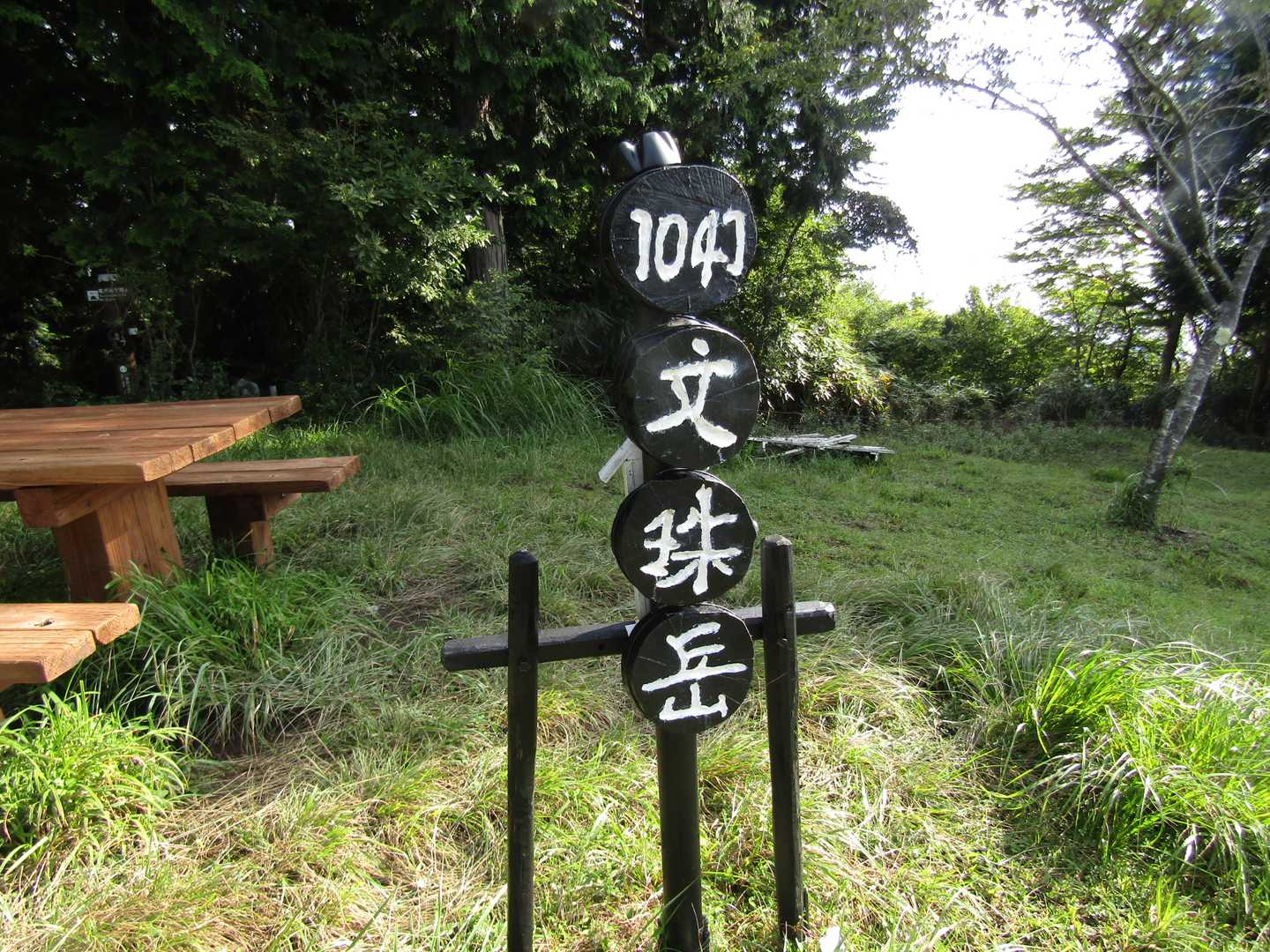 で、目的地に登頂。🎊