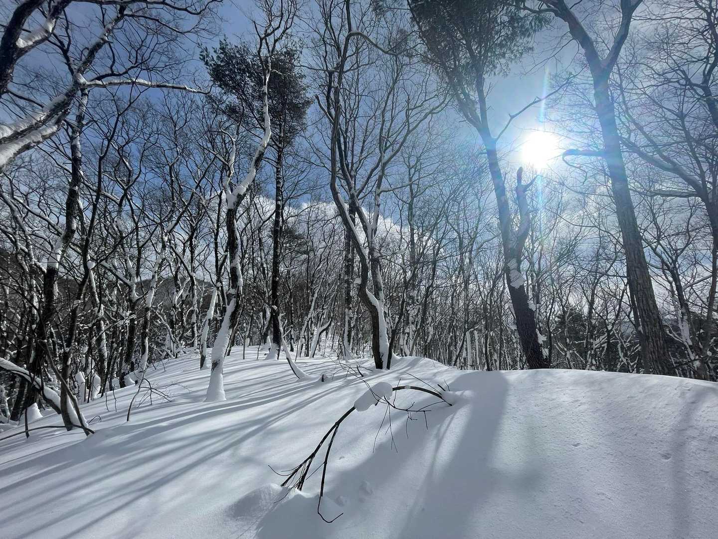 日が出てくる