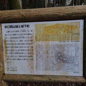 水口岡山城と城下町について