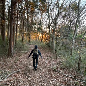 朝日を浴びながら、やる気満々でしたが