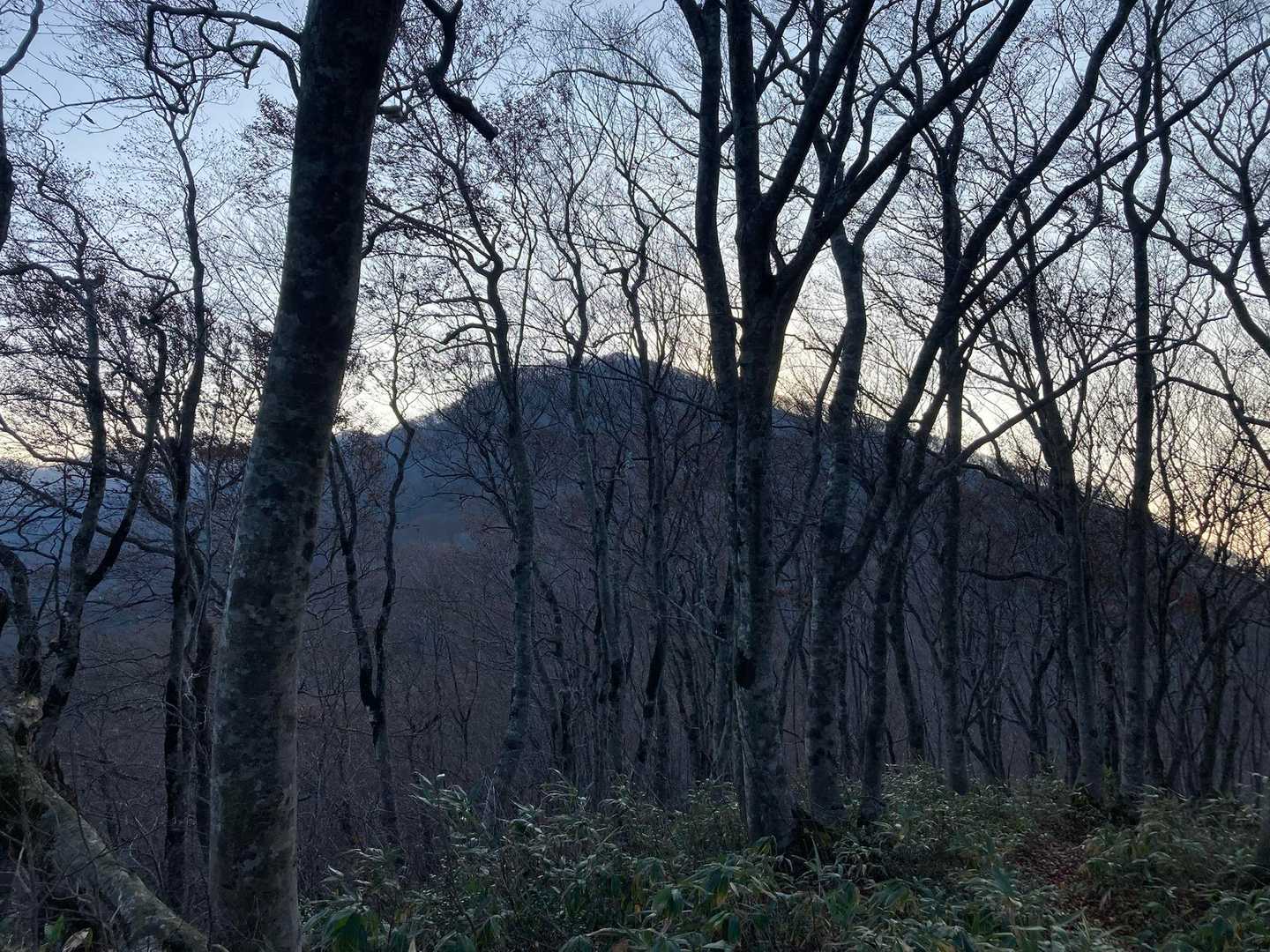 目指す中岳